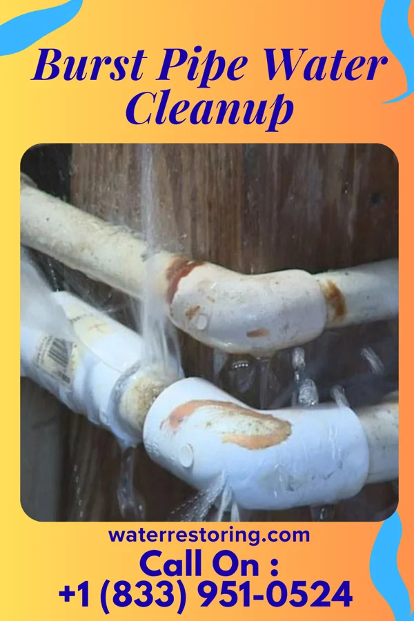 Burst Pipe Water Cleanup in Palo Alto, PA