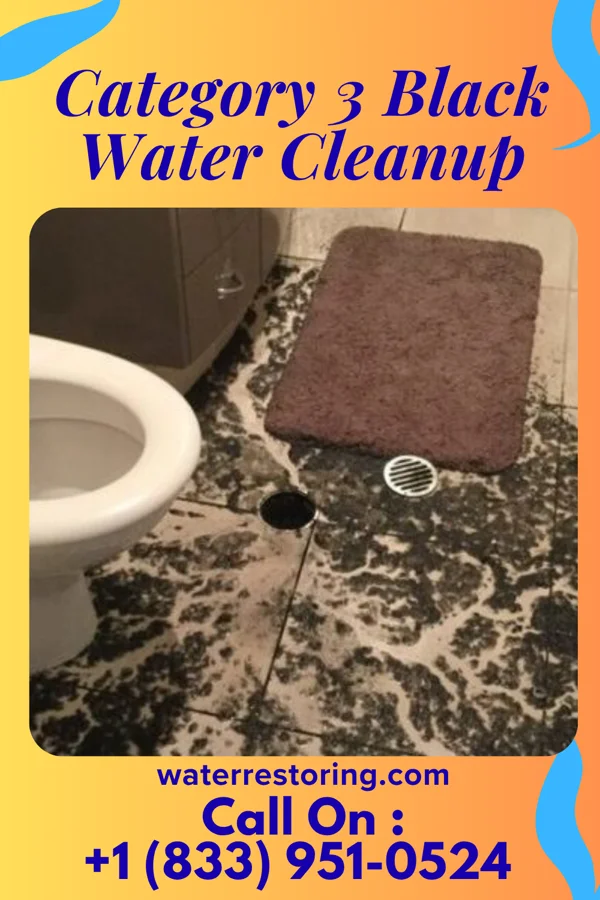 Category 3 Black Water Cleanup in Palo Alto, PA