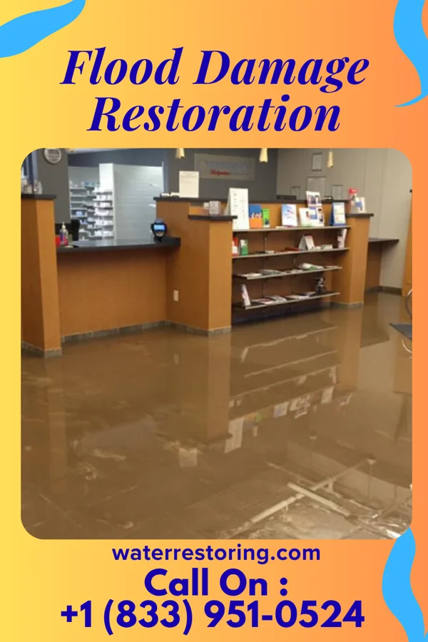 Flood Damage Restoration in Palo Alto, PA