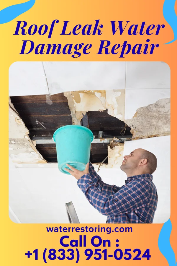Roof Leak Water Damage Repair in Palo Alto, PA