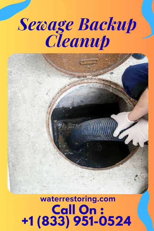 Sewage Backup Cleanup in Palo Alto, PA