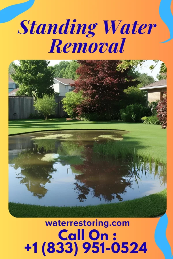 Standing Water Removal in Palo Alto, PA